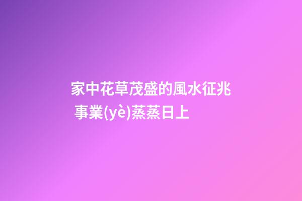 家中花草茂盛的風水征兆 事業(yè)蒸蒸日上